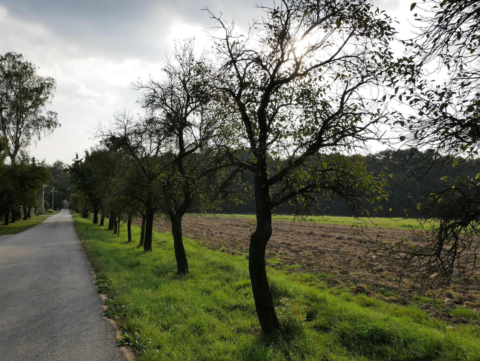 Panasonic Lumix G80: takřka dokonalost