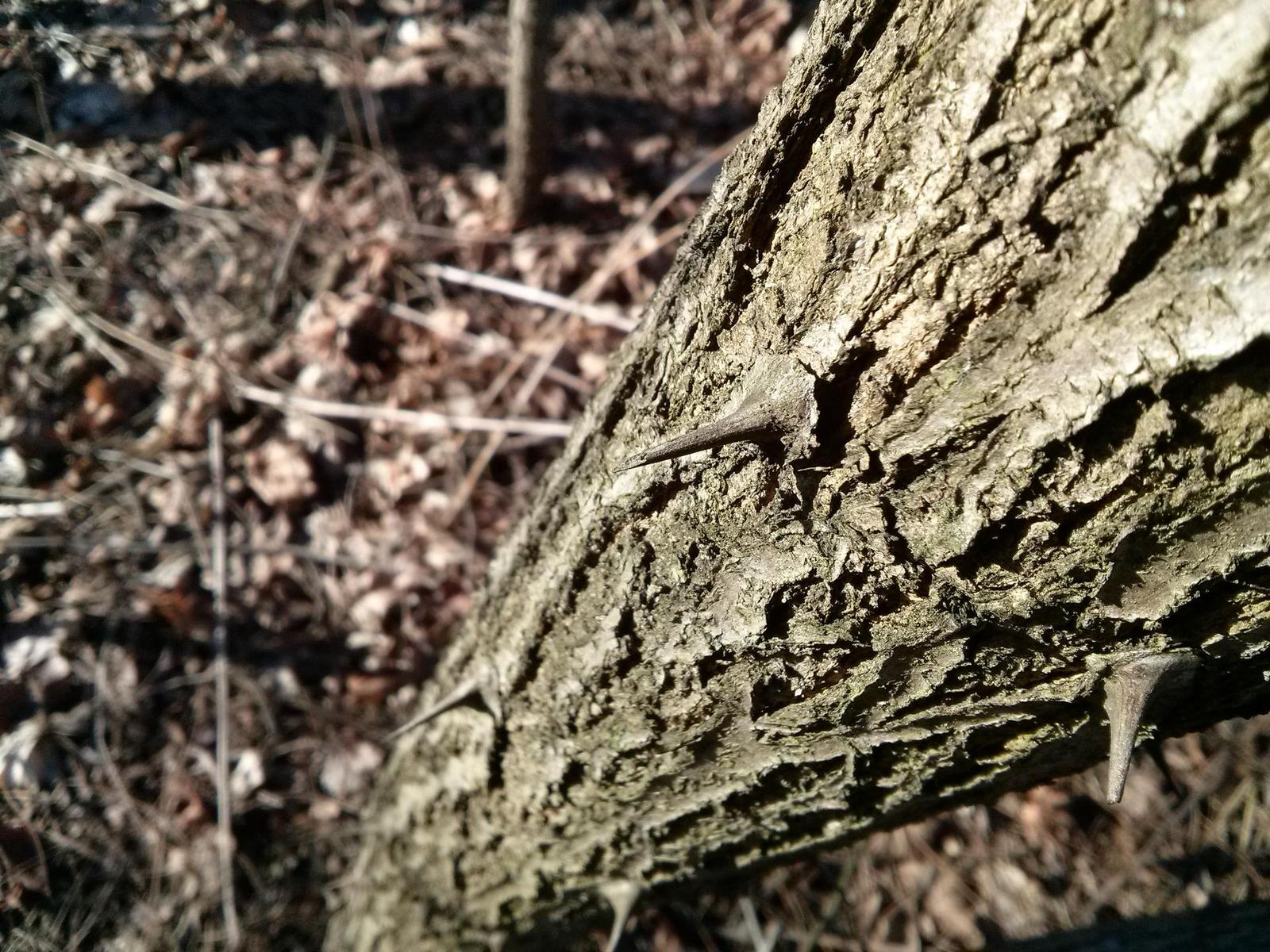 LG P710 Optimus L7 II: levných 8 mega