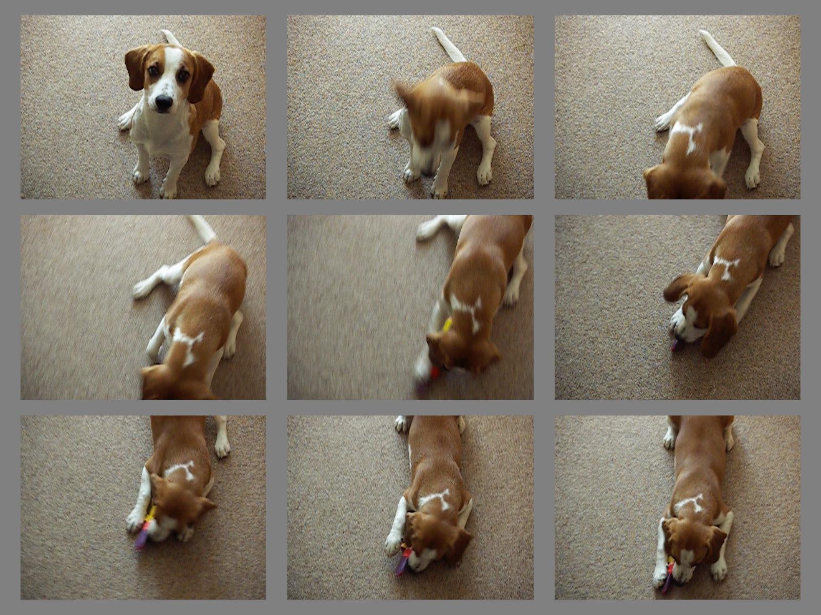 DiMAGE X21: decentní upgrade "lidové" dvacítky