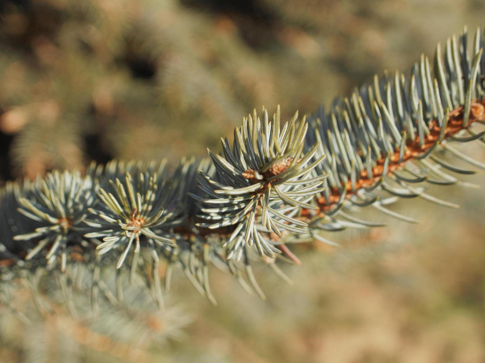 Yi M1: čínský útok na Micro Four Thirds