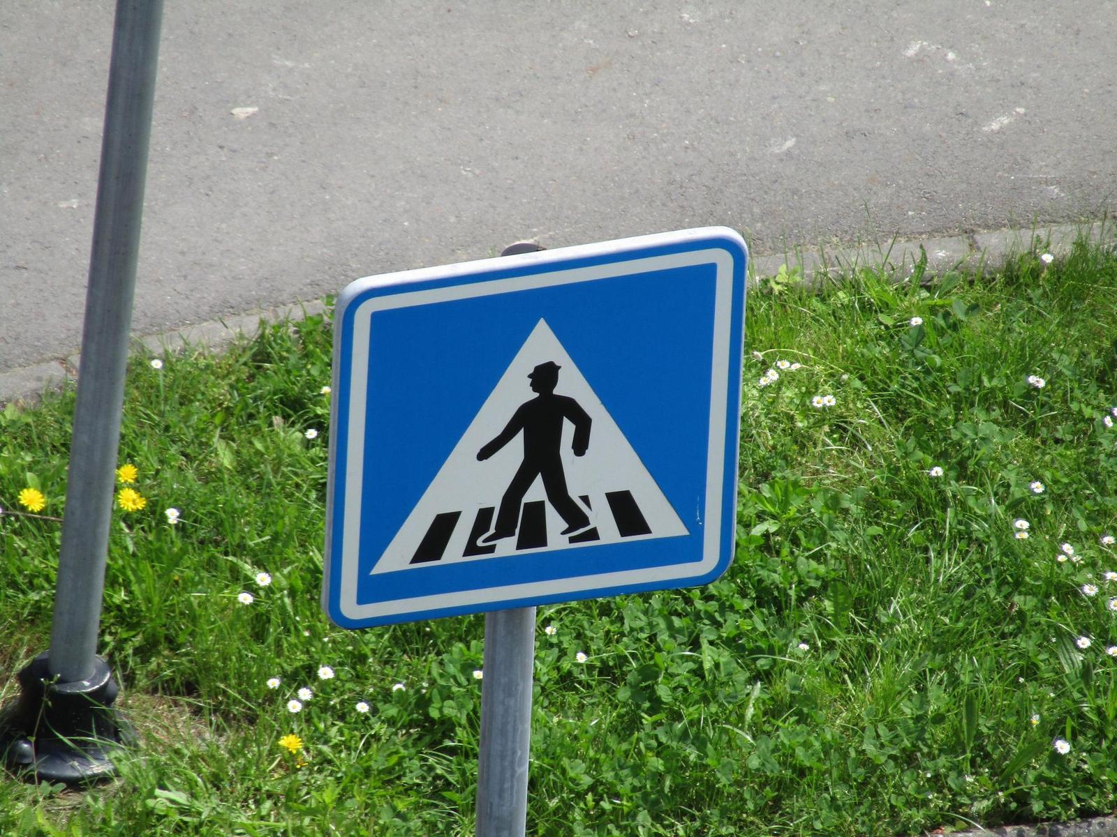 Canon PowerShot SX430 IS: milovník přírody