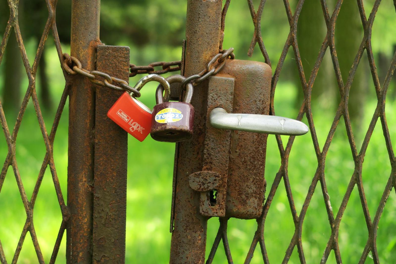 Canon PowerShot G5 X: vyspělejší brácha