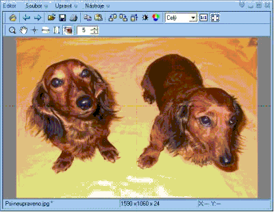 Zoner Media Explorer 5.0: Výkonný softwarový kombajn na vaše fotky!