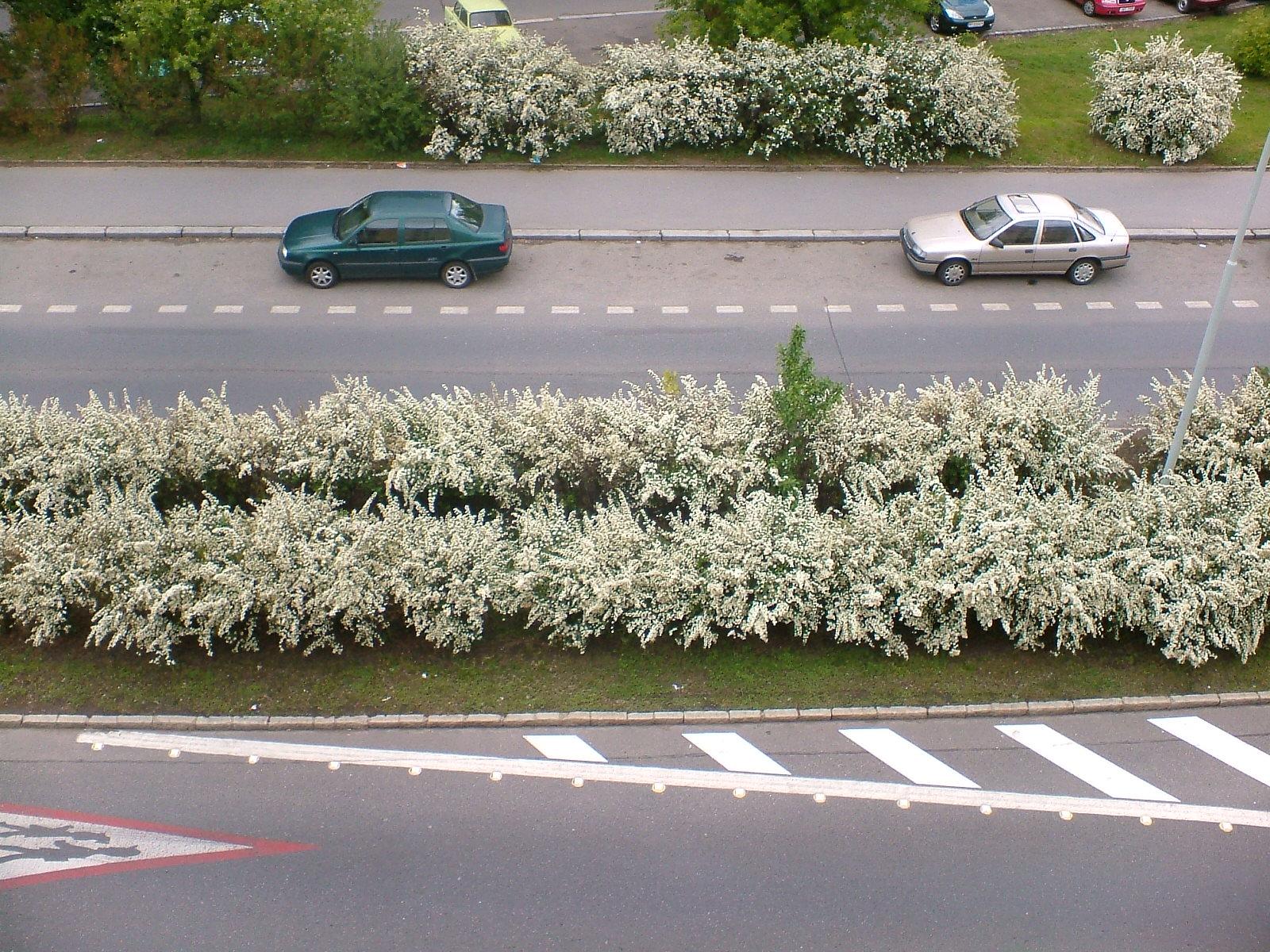 FinePix A120: třímegapixel pro digitální fotorozjezd