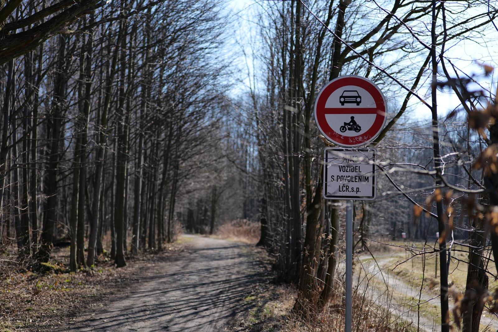 Panasonic Lumix S 50mm F1.8