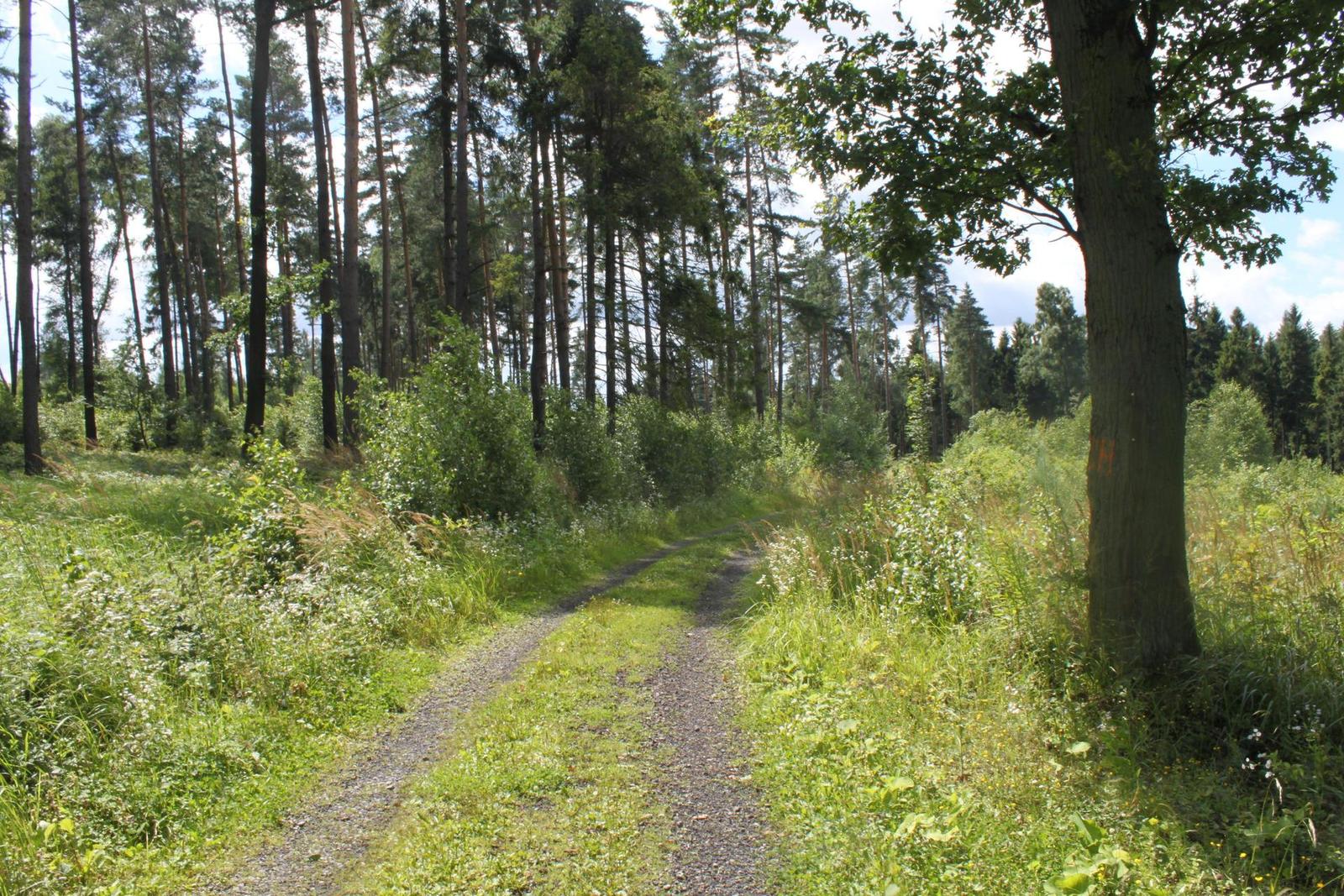 Canon EOS 500D: povedený pokračovatel rodu