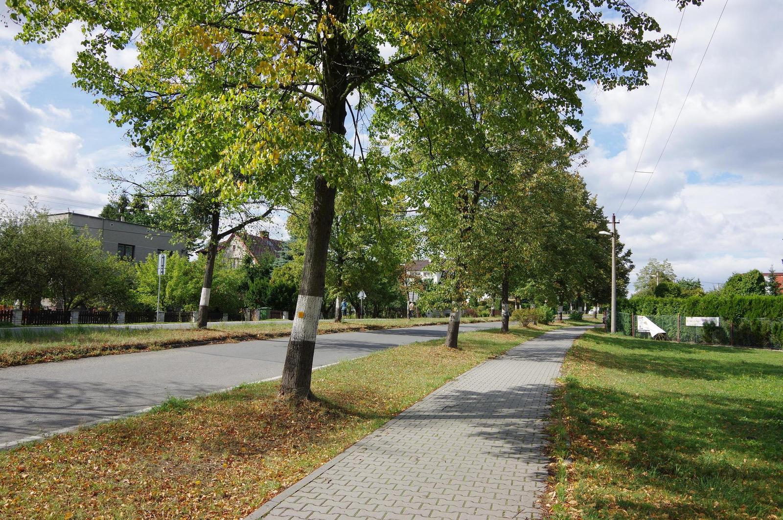 Pentax K-3 II: superostré zrcadlo