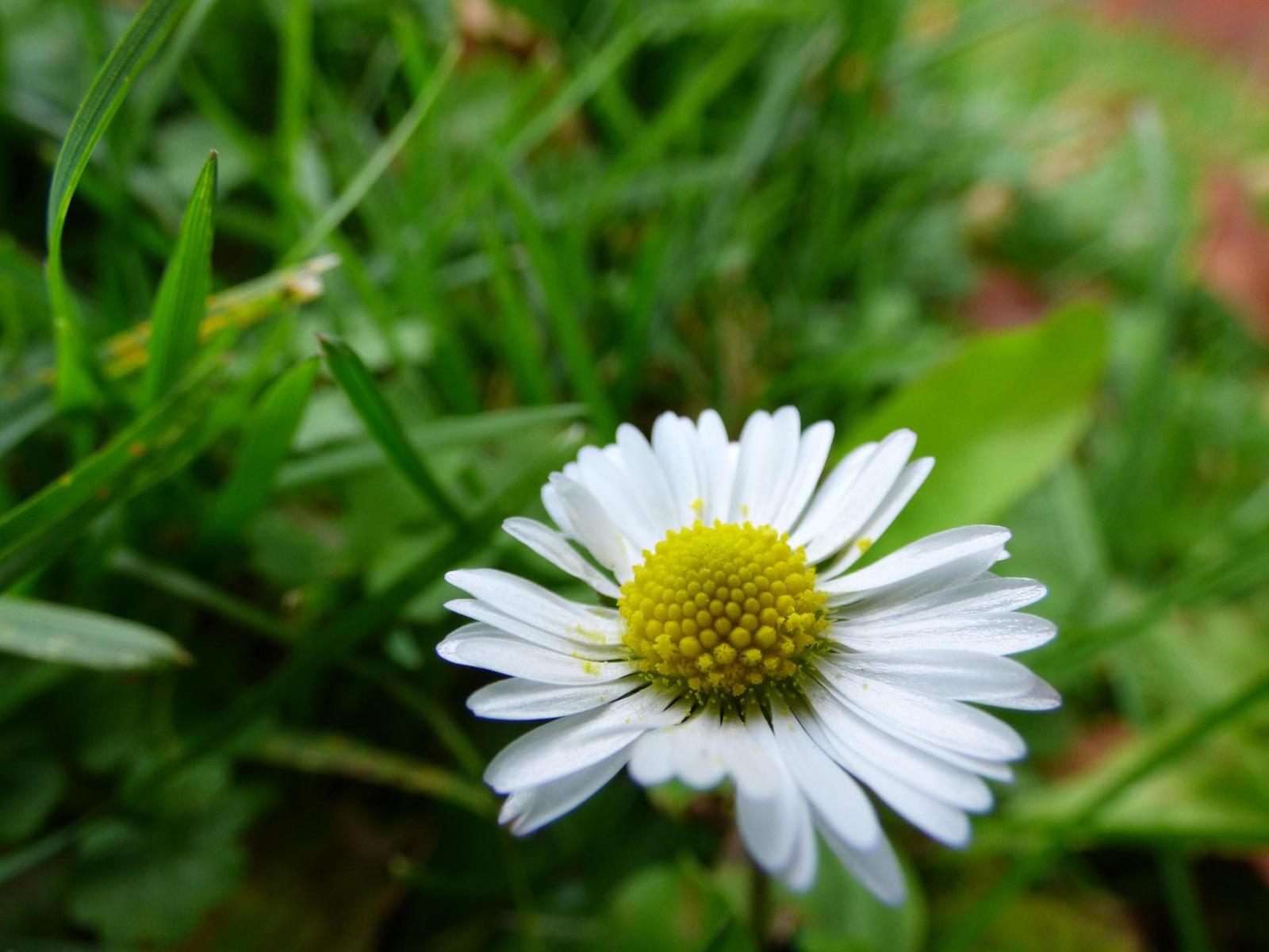 Panasonic Lumix FZ72: nejširší i nejdelší