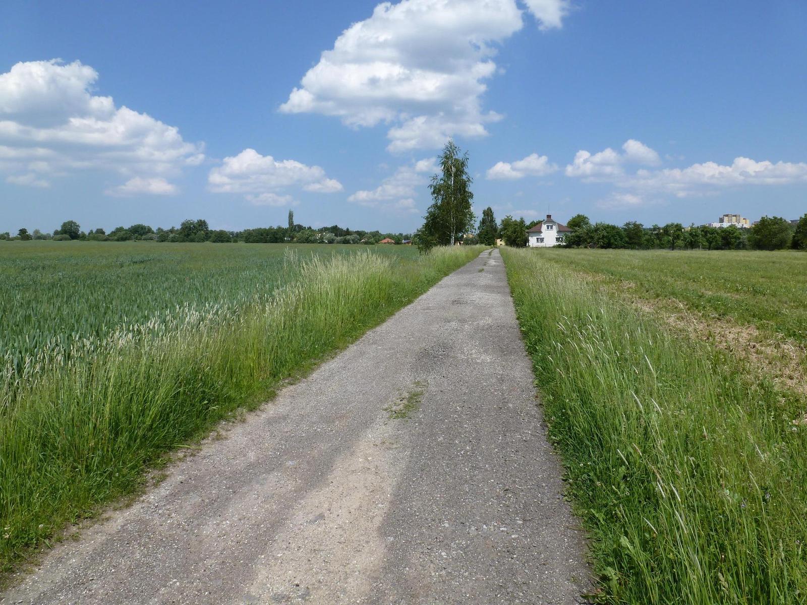 Panasonic Lumix TZ18 vs. TZ20: bitva CCD a CMOS