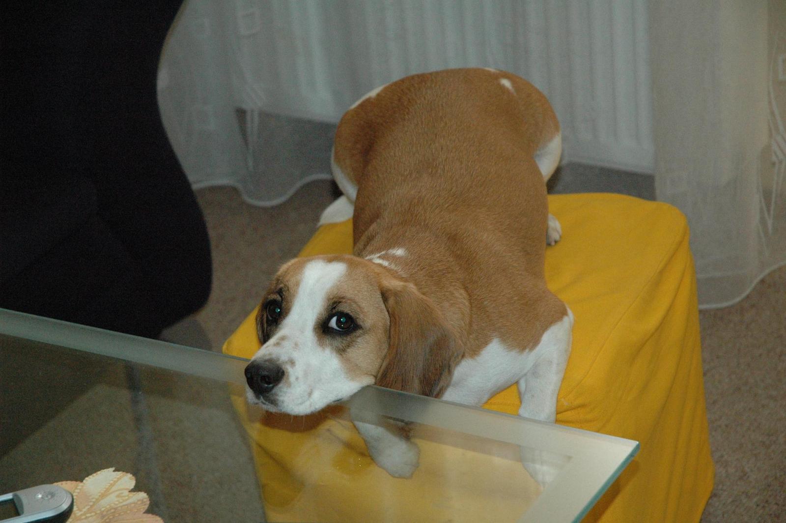 Nenápadný upgrade sedmdesátky