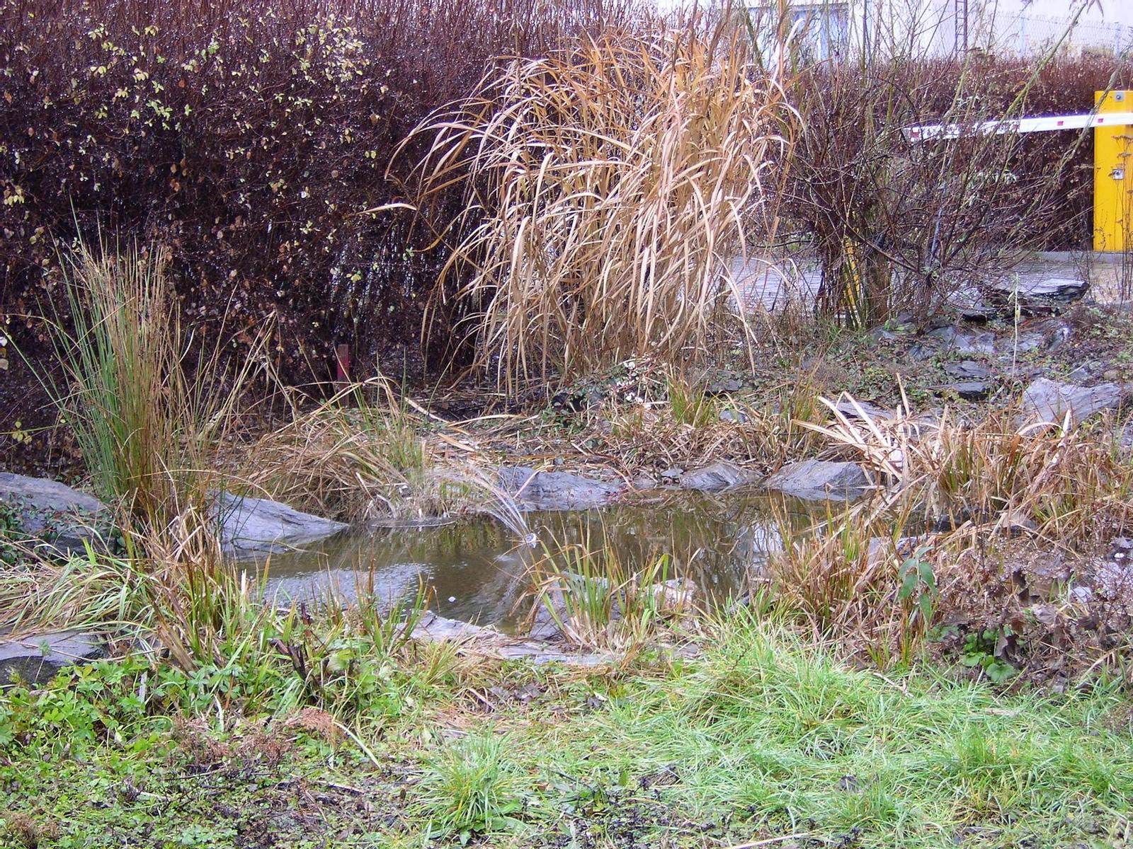 Sanyo VPC-AZ3EX: Vyšší standard