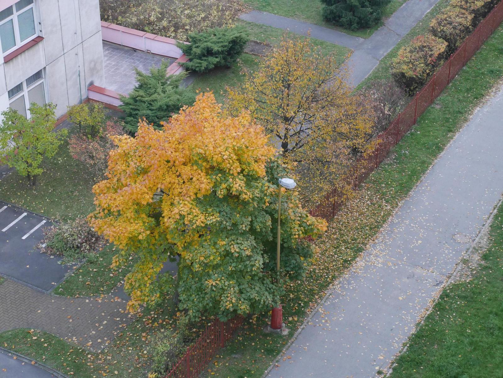 Panasonic Lumix GX7: vymazlený superfoťák