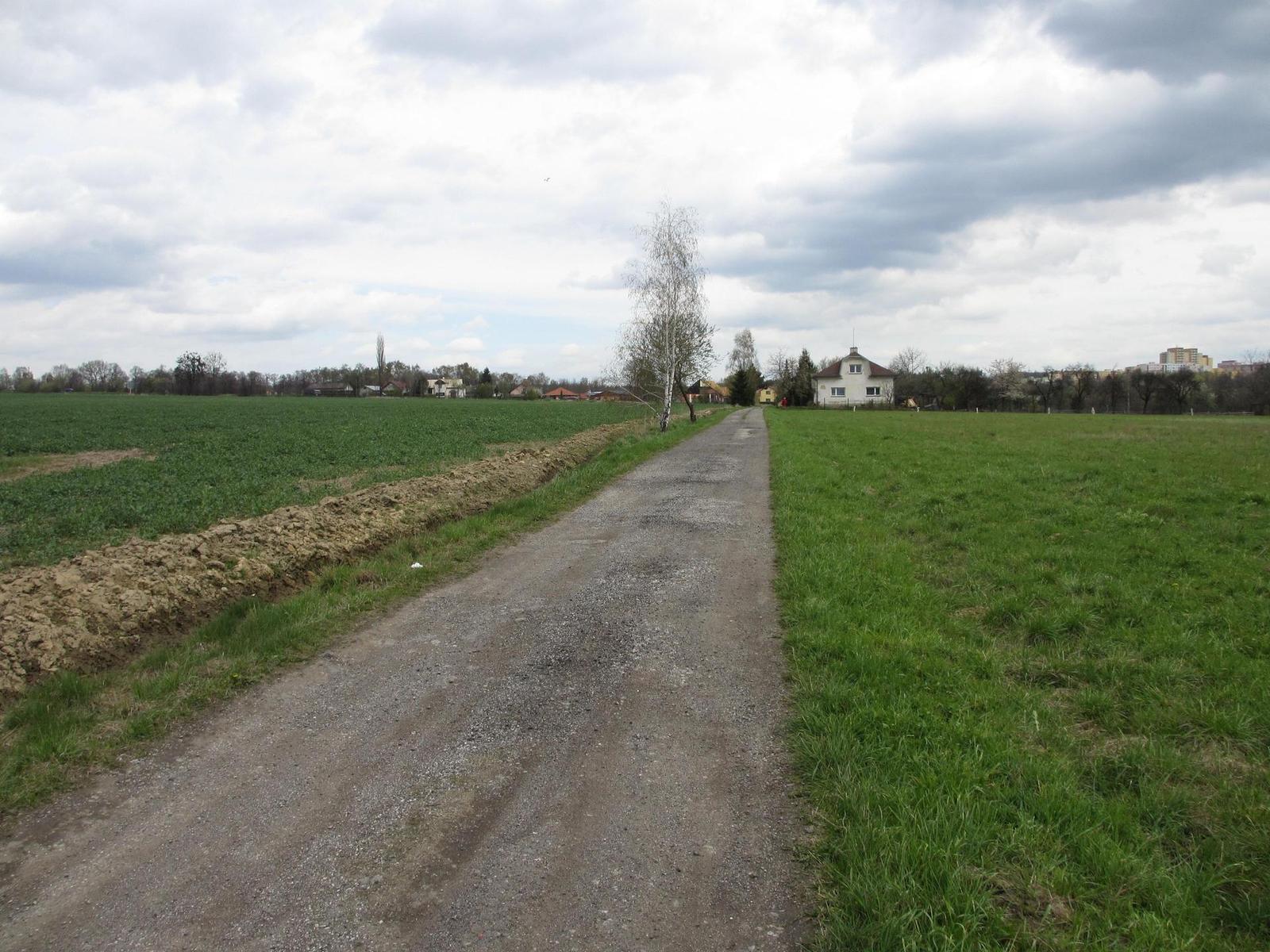 Canon IXUS 230 HS: nebeský univerzál