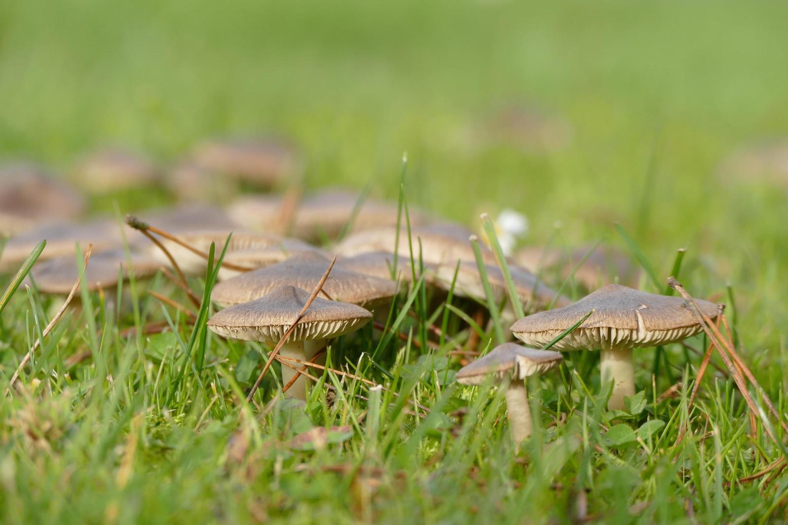 Panasonic Lumix FZ1000: legenda je zpátky