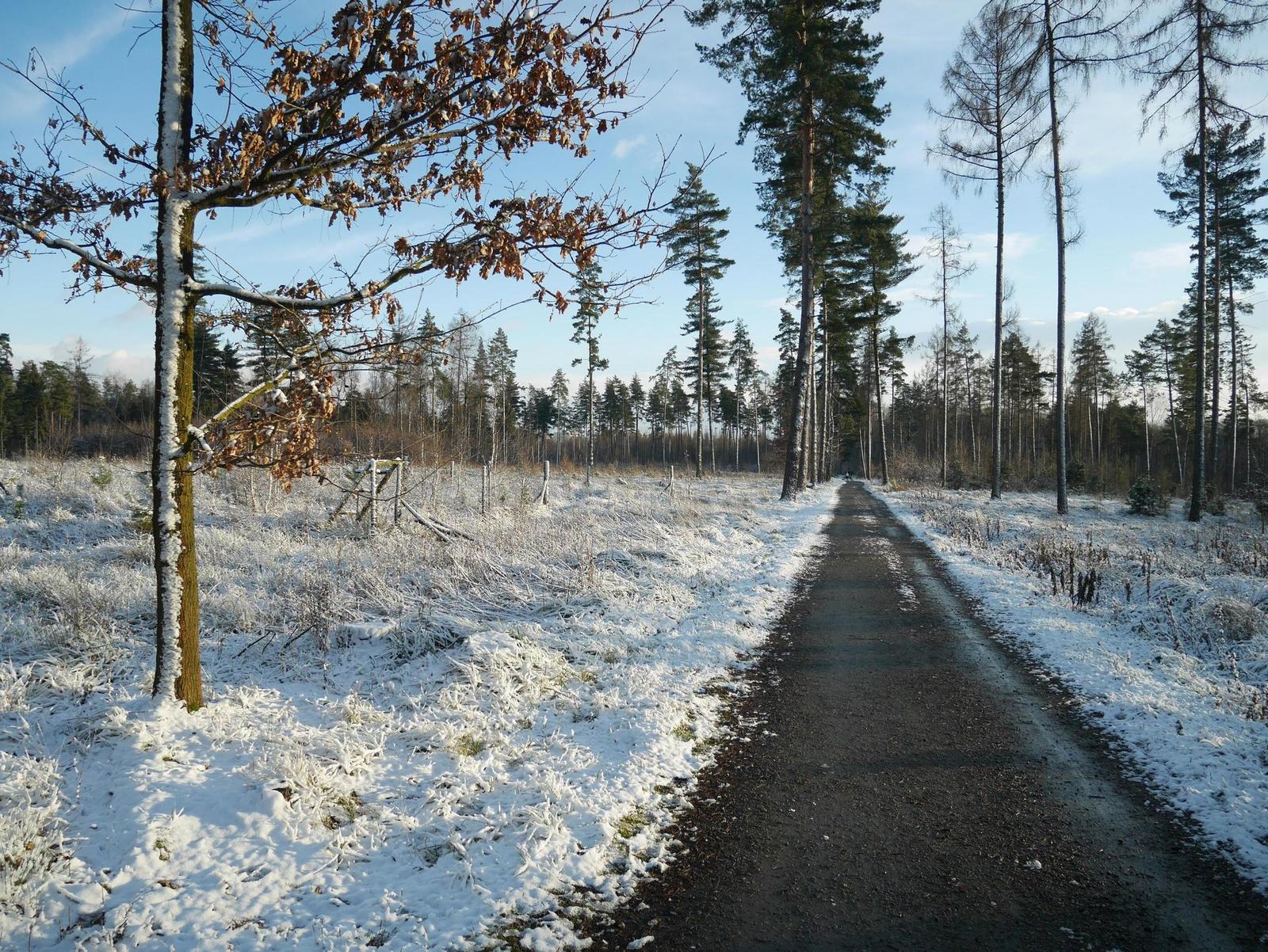 Panasonic Lumix GM5: mikro-CSC