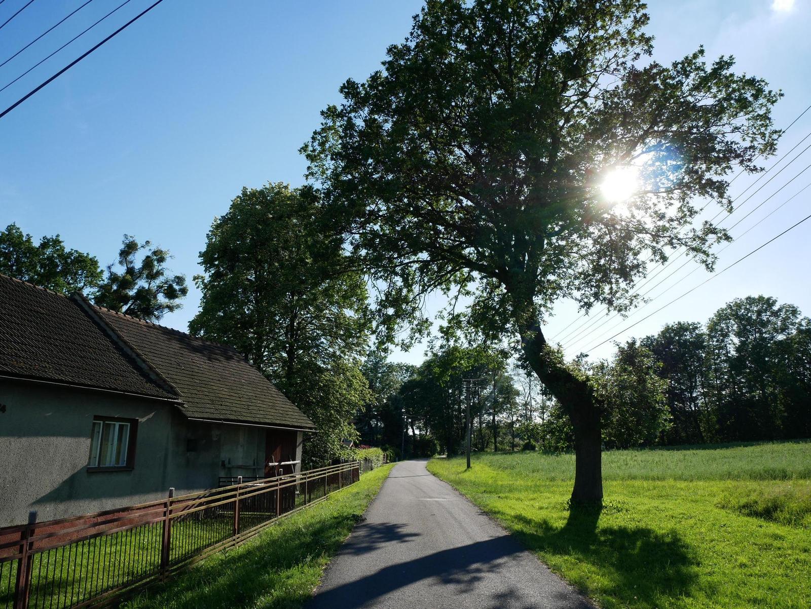 Panasonic Lumix G Vario 12-60mm F3.5-5.6 ASPH. OIS