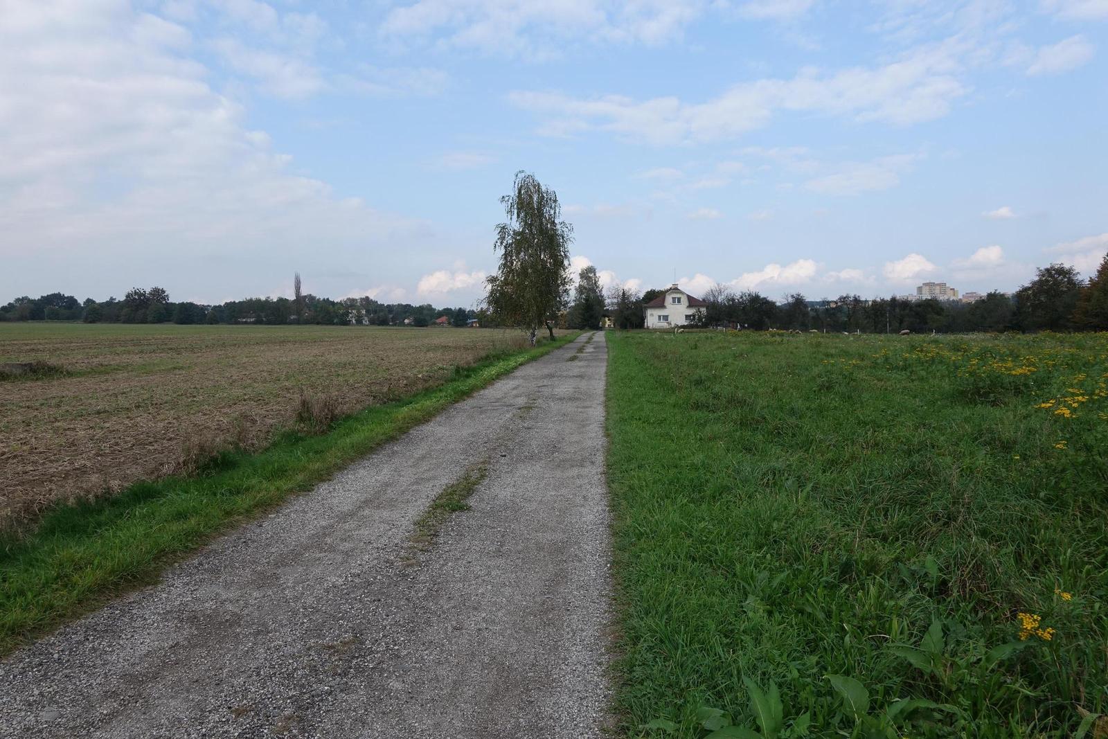 1" vs. APS-C: Sony RX10 vs. Nikon D3300+18-140mm