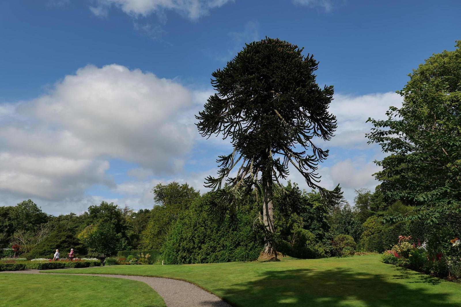 Panasonic Lumix S1: postřehy z praxe