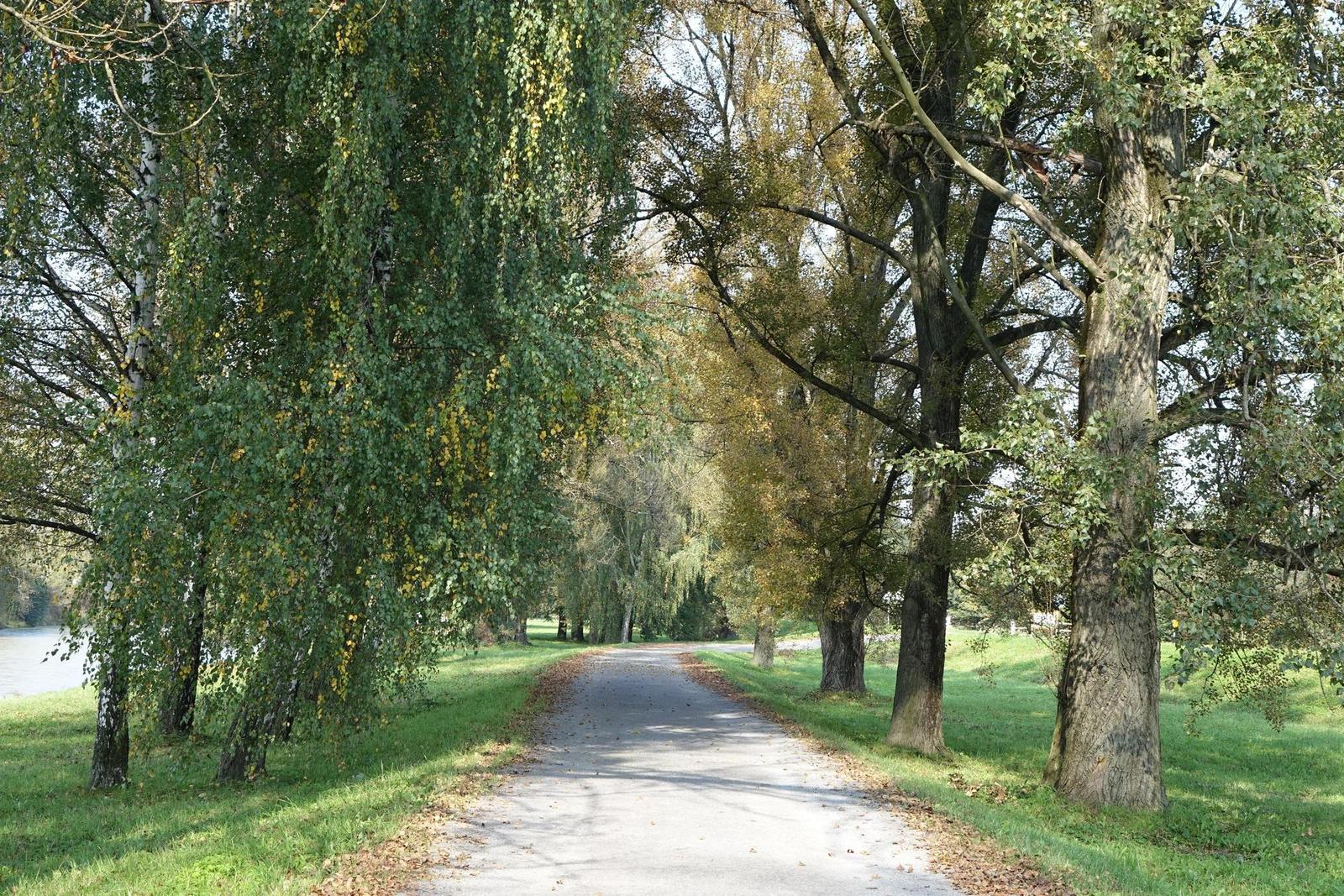 Sony Cyber-shot RX10: ultrazoom, jaký jsme chtěli