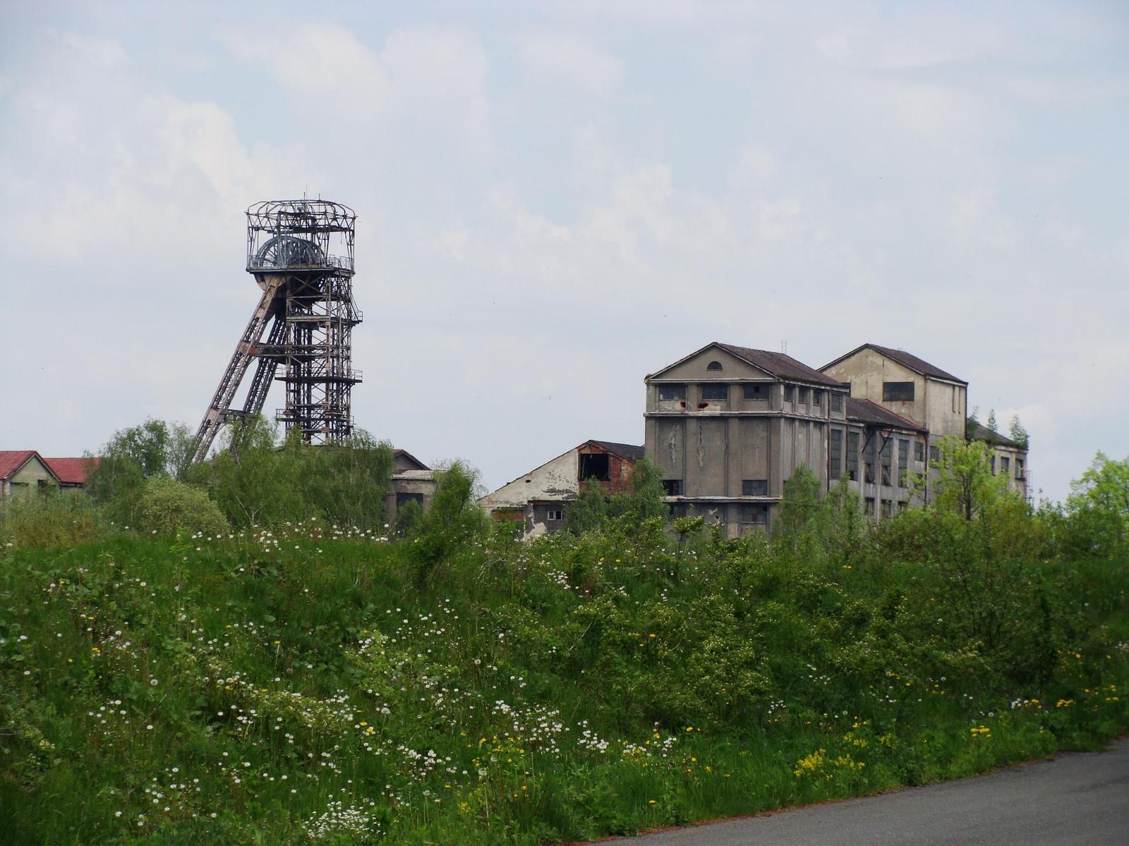 Sony DSC-H10: nejen levný ultrazoom