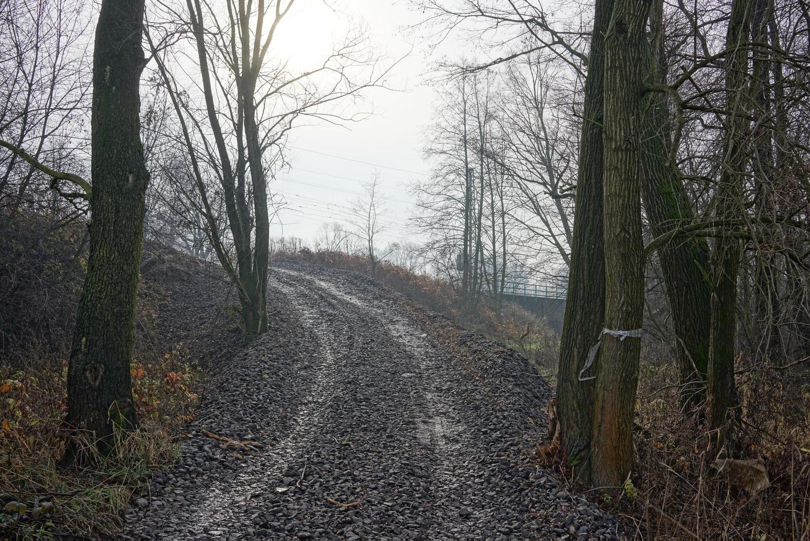 Sony A7R II (ILCE-7RM2): detaily na druhou