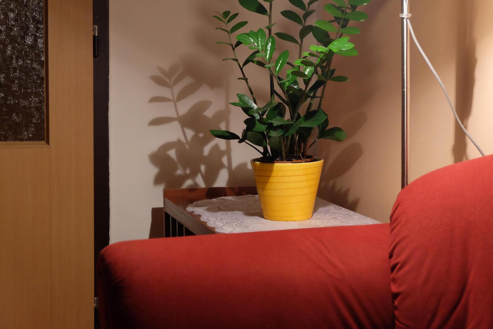 Fujifilm X-M1: našlapaná stylovka