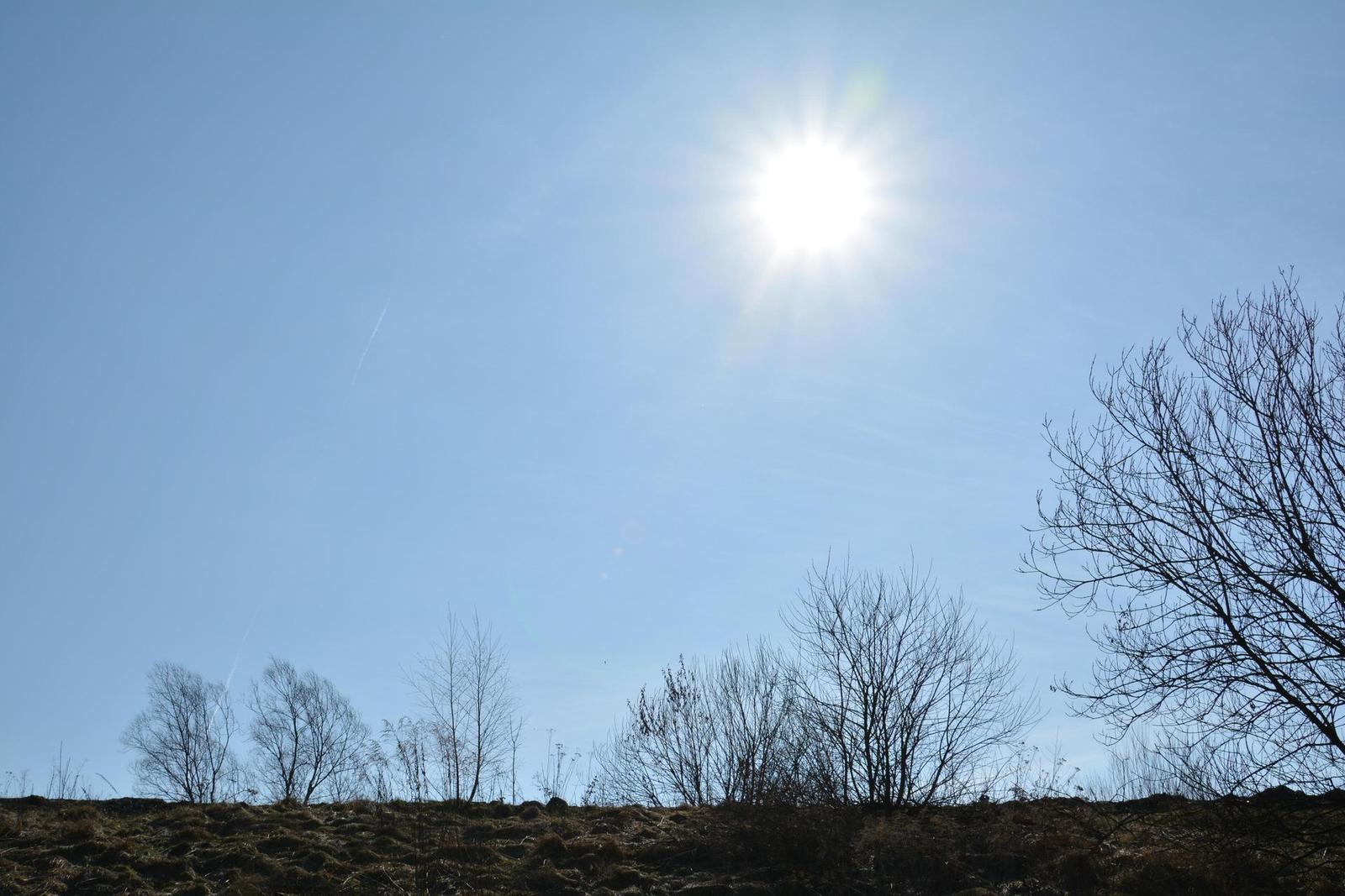 Nikon AF-S Nikkor 24-85mm f/3.5-4.5G ED VR