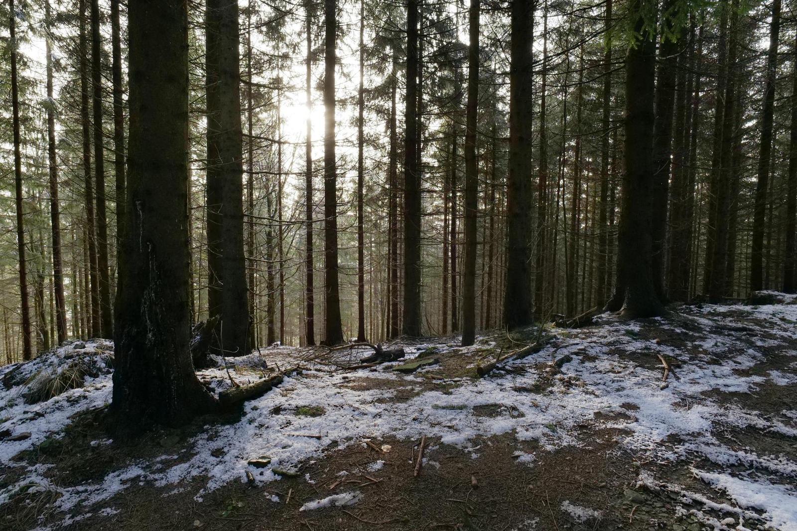 Panasonic Lumix S5: kompaktnější video-profík