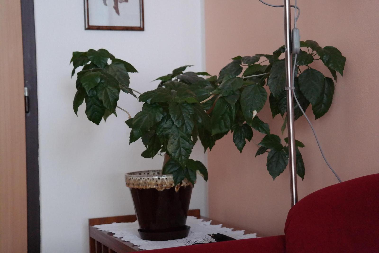 Samsung NX300: spousta kroků vpřed, jeden vzad