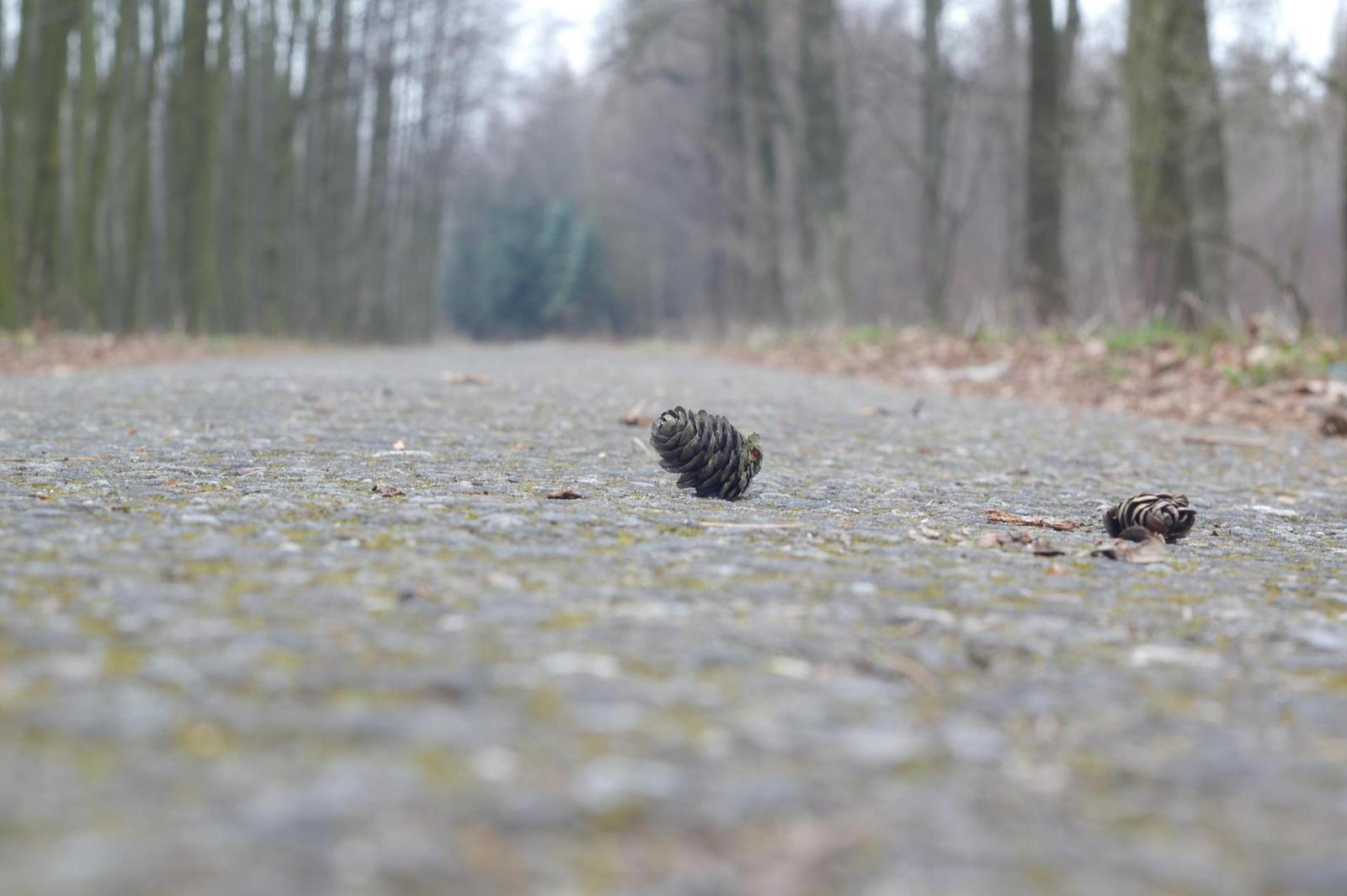 Industar-61L/D 55mm F2.8 (M39)