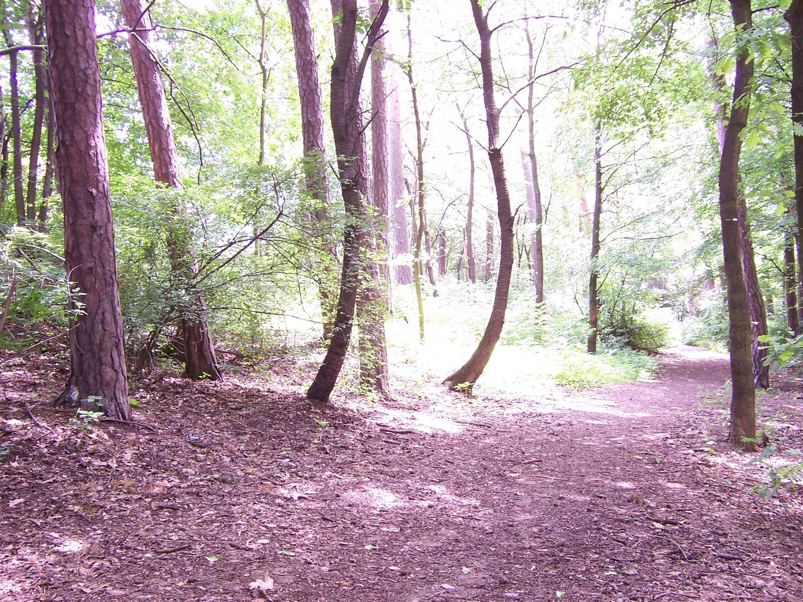 Kodak EasyShare DX7440: Elegantní a šikovný