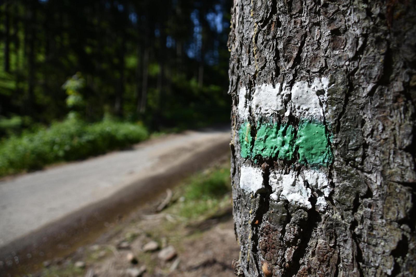 Nikon AF-S DX NIKKOR 18-300mm f/3.5-6.3G ED VR