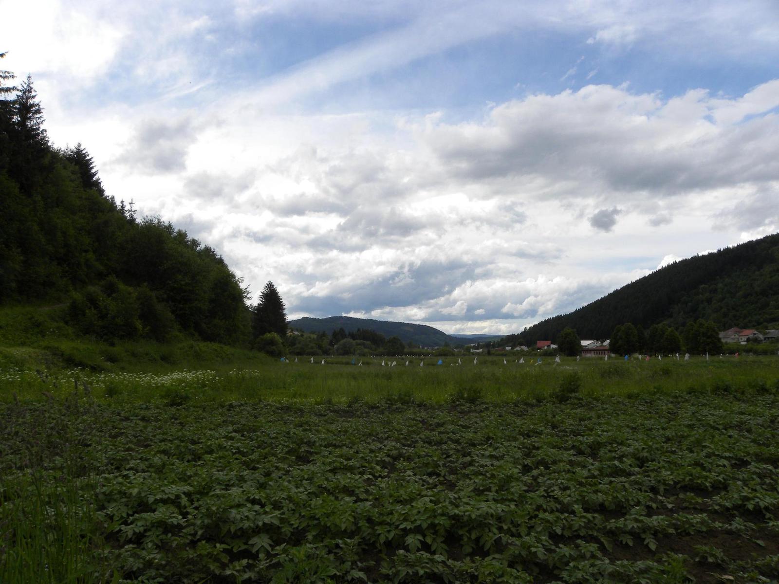 Nikon Coolpix P90: napodruhé mnohem lépe