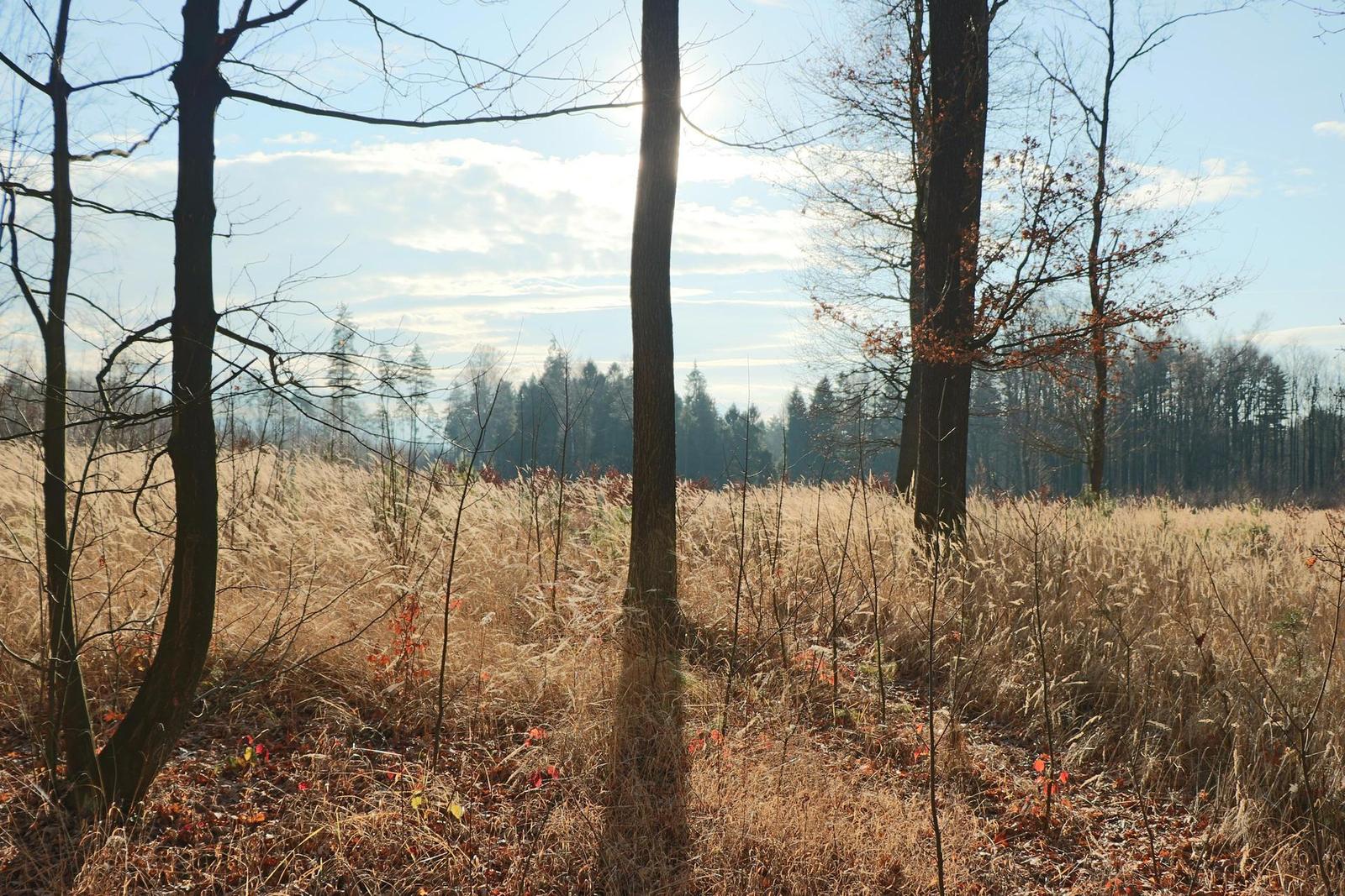 Canon EOS 760D: s novým srdcem