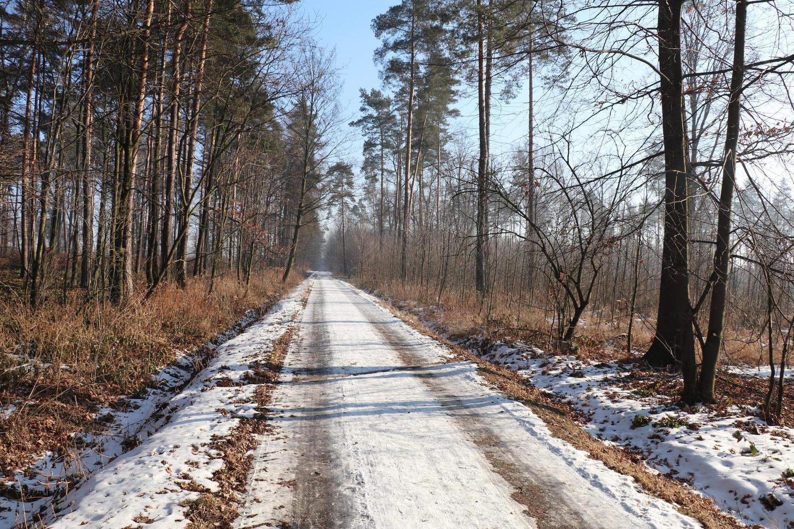 Canon EOS 80D: příjemná inovace