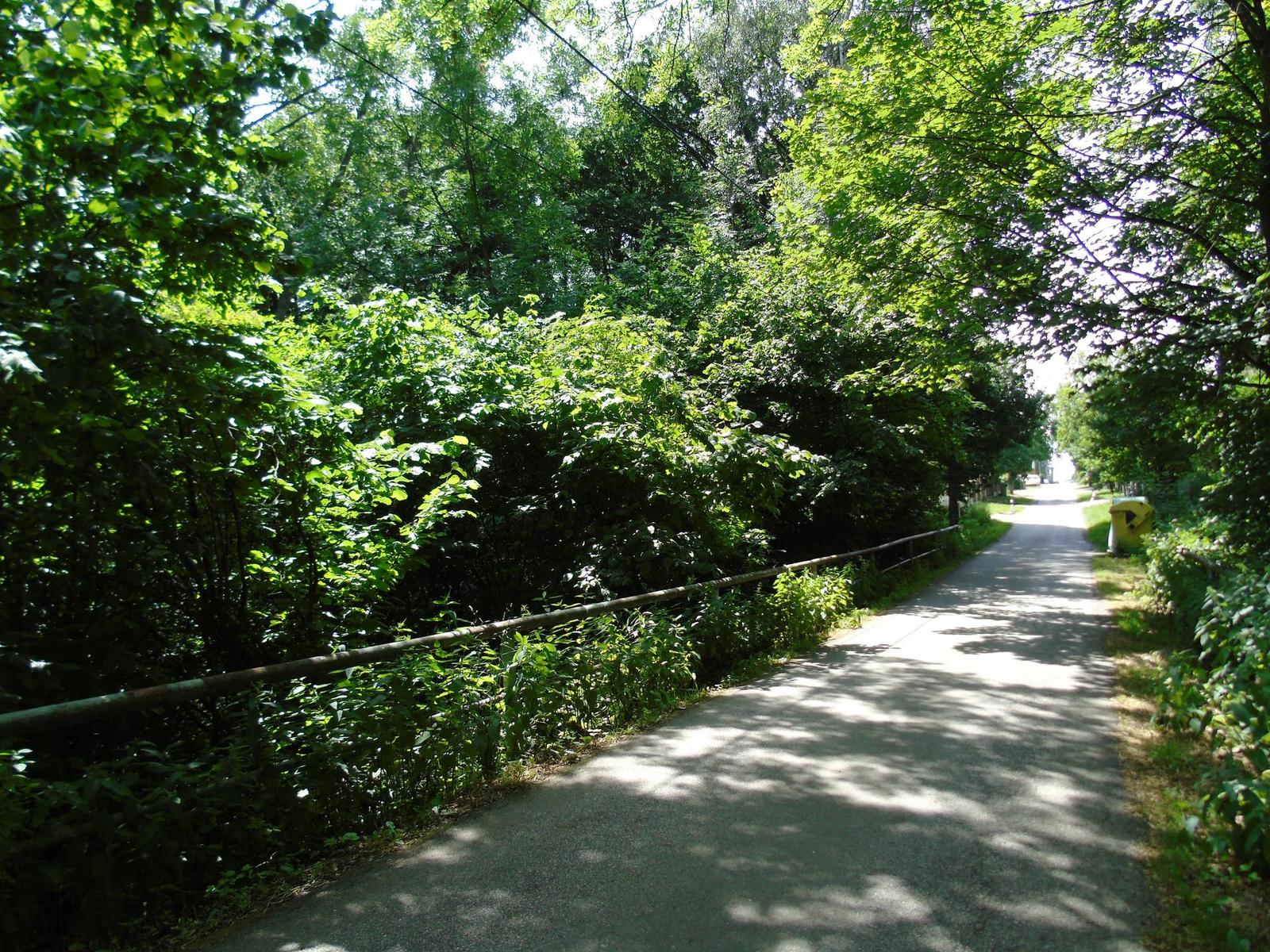 Sony Cyber-shot H400: nekonečný 63× zoom