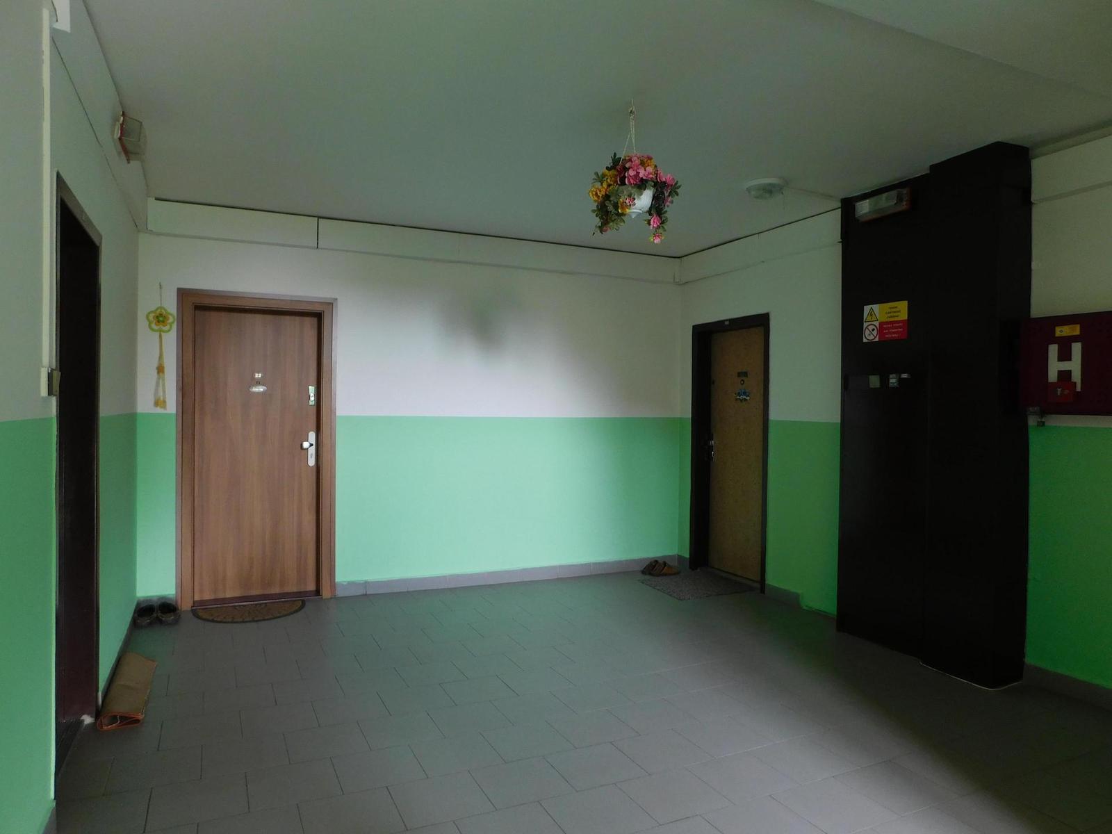 Nikon Coolpix L840: makroborec s 38x zoomem