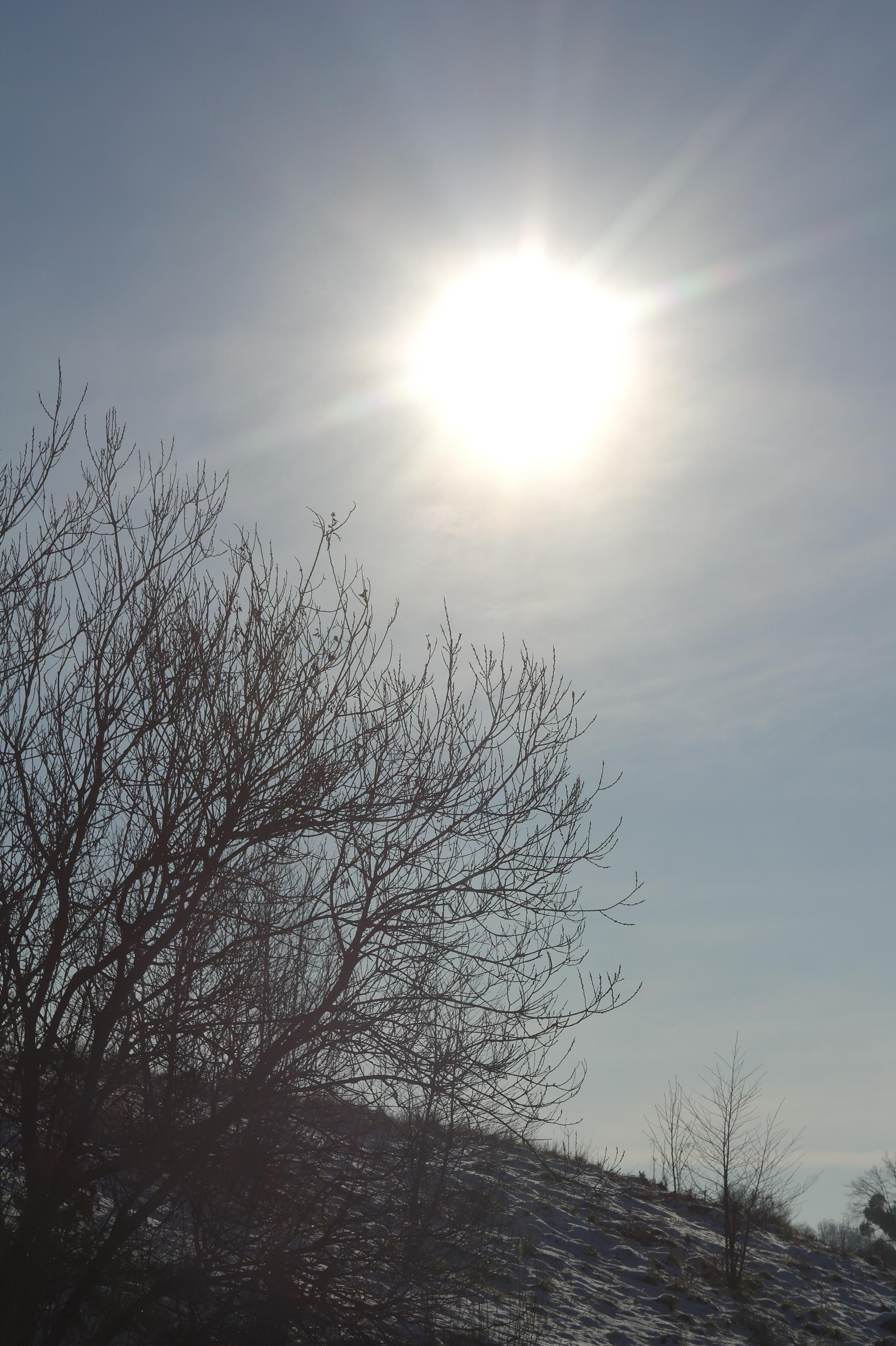 Industar-50 50mm F3.5 (M39)