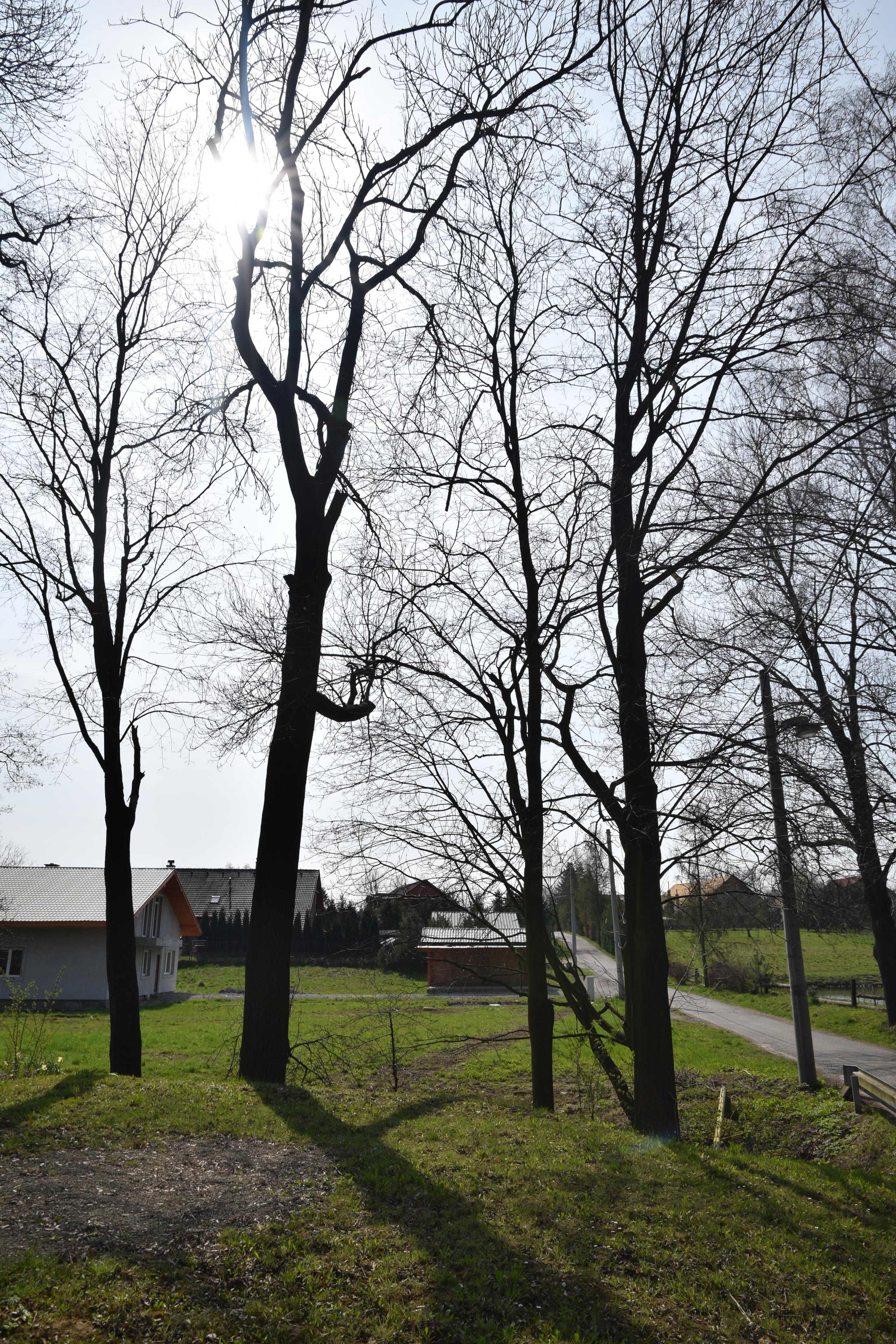 Nikon AF-S DX NIKKOR 16-85mm f/3.5-5.6G ED VR