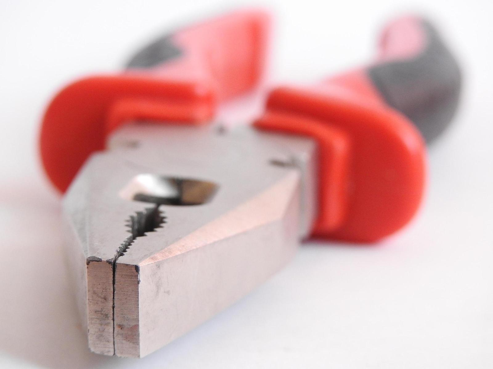 Nikon Coolpix P900: paparazzi