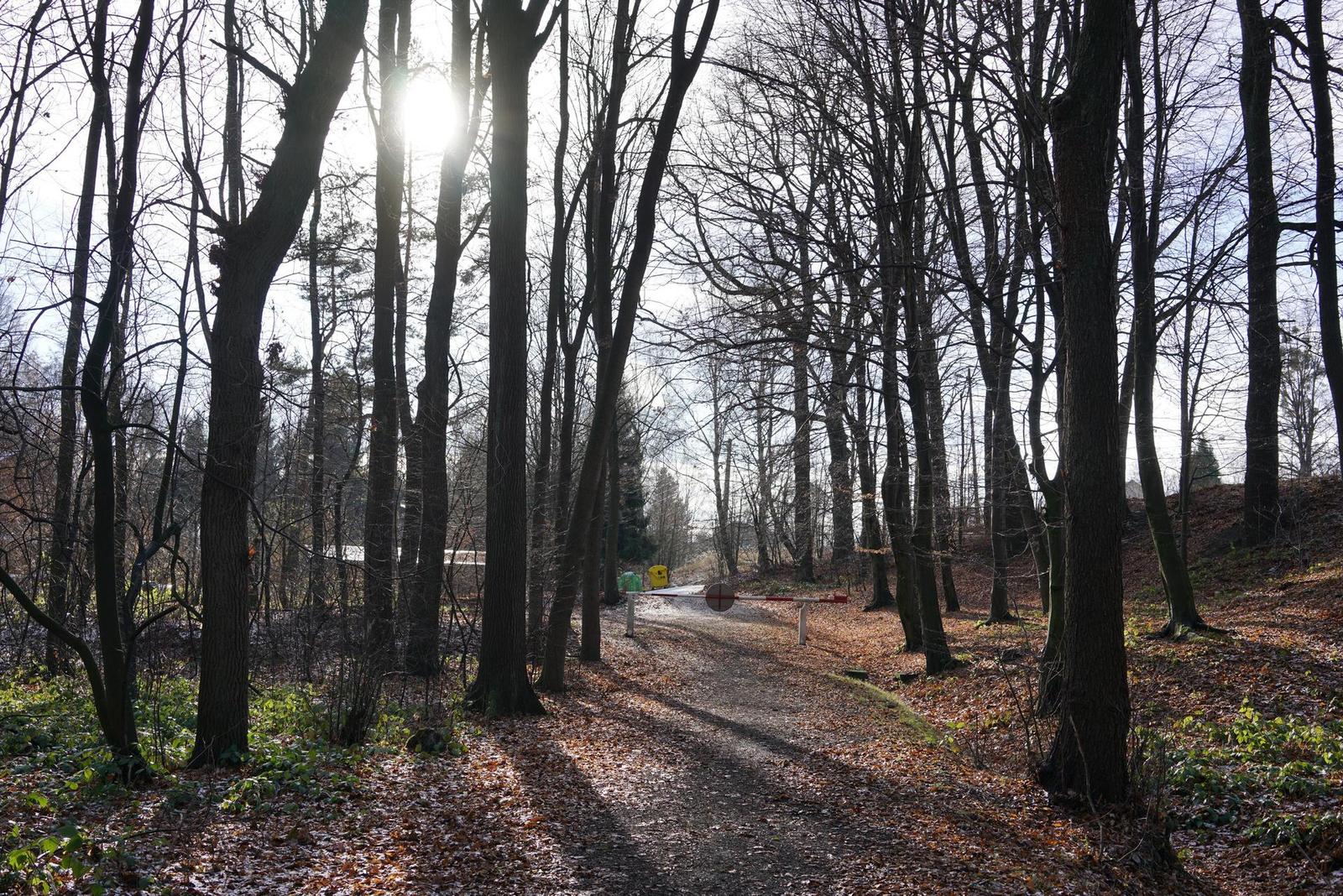 Sony Carl Zeiss Sonnar T* FE 35mm F2.8 ZA (SEL35F28Z)