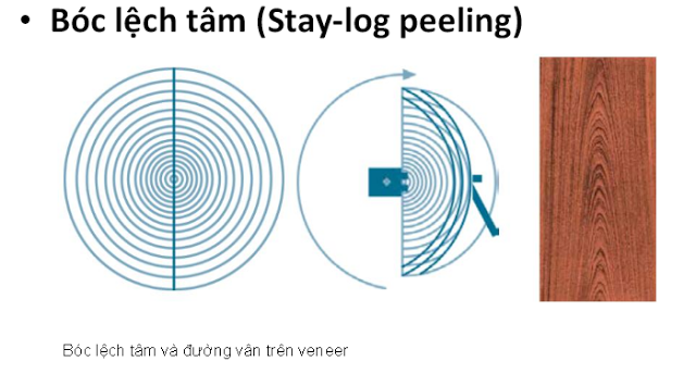 Gỗ Veneer - Sản xuất veneer kiểu bóc lệch tâm