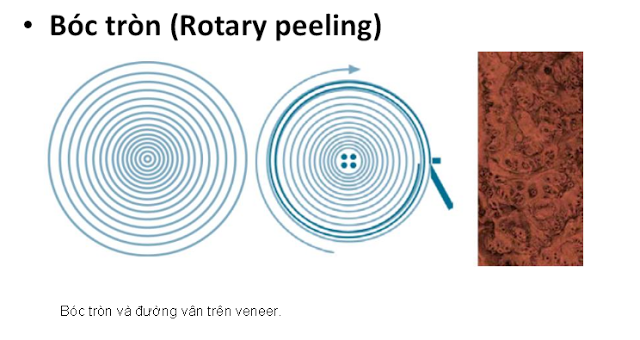 Gỗ Veneer - Sản xuất veneer kiểu bóc tròn