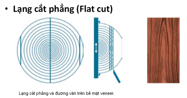 Gỗ Veneer - Sản xuất veneer kiểu cắt phẳng