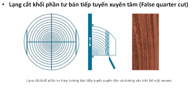 Gỗ Veneer - Sản xuất veneer kiểu cắt khối phần tư bán tiếp tuyến xuyên tâm