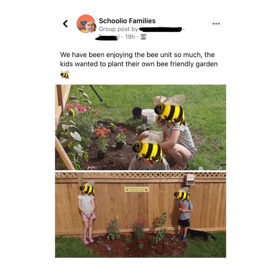 Schoolio family testimonial 6