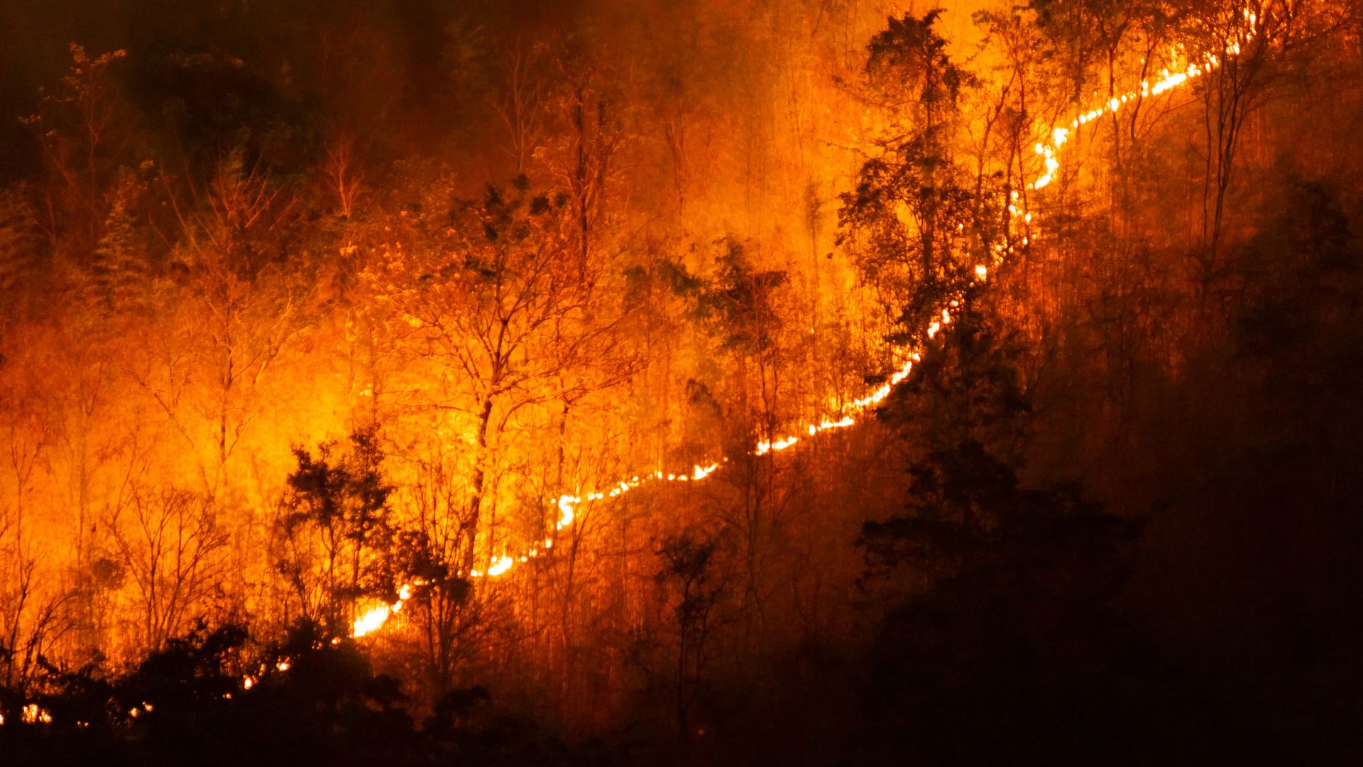 gunung-ungaran-terbakar-api-mencapai-puncak