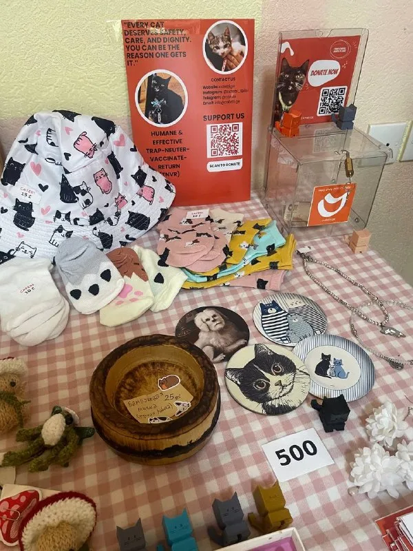 Маркет CATEBI в Зазеркалье