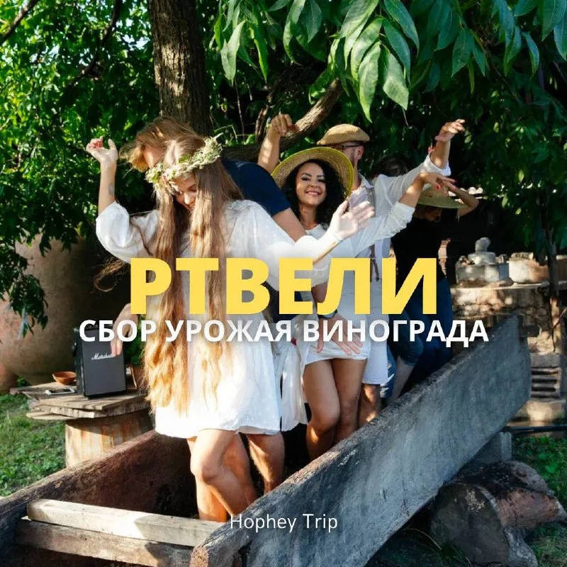 Ртвели — традиционный праздник сбора винограда
