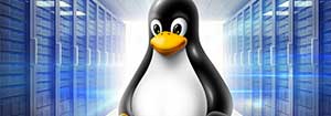 curso-servidor-linux